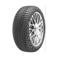 245/40  R19  Maxxis Premitra Snow WP6 98V XL